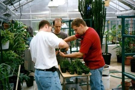 Greenhouse Study